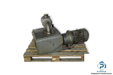 durr-D-250-vacuum-pump-(used)