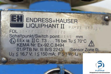 ENDRESS-HAUSER-FDL-31-FFG2AD7R-0220-Point-Level-Detection3_675x450.jpg