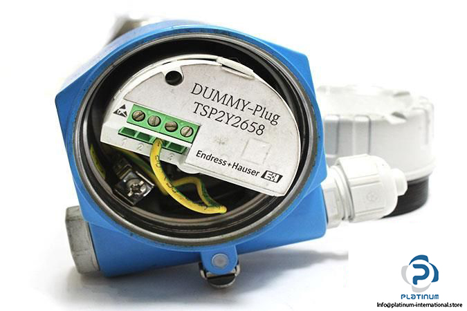 ENDRESS-HAUSER-FTI77-A1AYYRVJY3A1A-POINT-LEVEL-SWITCH3_675x450.jpg