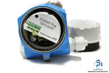 ENDRESS-HAUSER-FTI77-A1GYYRVJY3A1A-POINT-LEVEL-SWITCH3_675x450.jpg