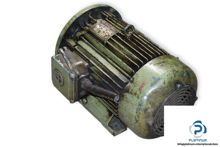 enrico-bezzi-NFRG-160L_4-3-phase-electric-motor-used-1