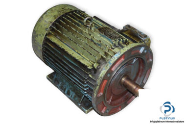 enrico-bezzi-NFRG-160L_4-3-phase-electric-motor-used