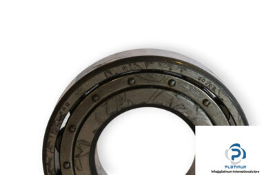 fag-20208-barrel-roller-bearing-1