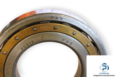 fag-20213M.C3-barrel-roller-bearing-1