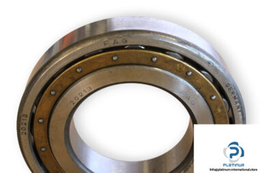 fag-20213M-barrel-roller-bearing-1