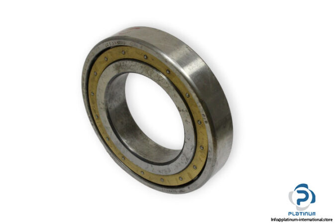 fag-20218-M-barrel-roller-bearing