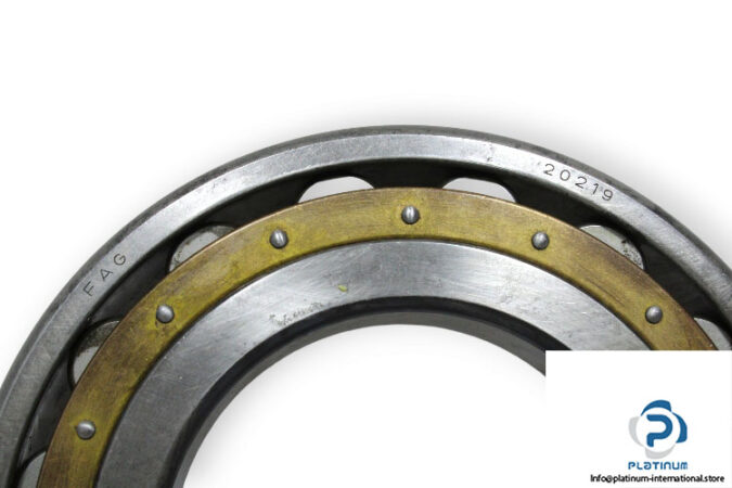 fag-20219-M-barrel-roller-bearing-2