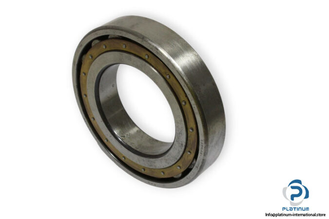 fag-20219-M-barrel-roller-bearing