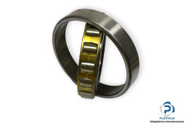 fag-20220-M-barrel-roller-bearing-1