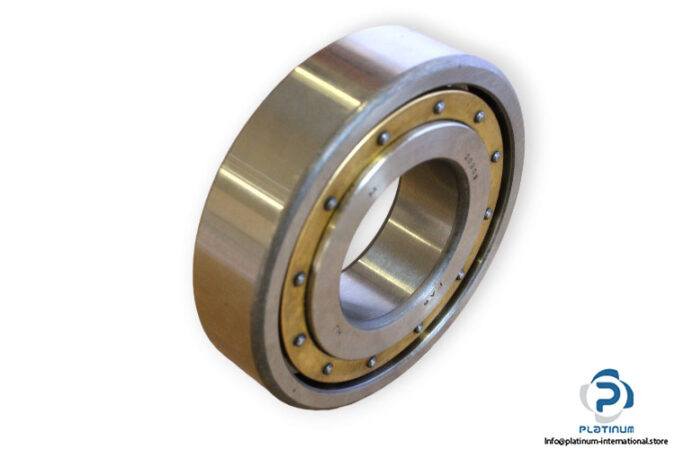 fag-20309-barrel-roller-bearing