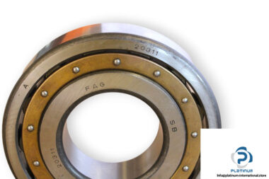 fag-20311-barrel-roller-bearing-1