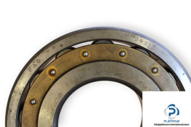 fag-20313-barrel-roller-bearing-1