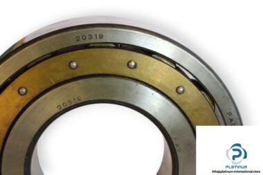 fag-20319-barrel-roller-bearing-1