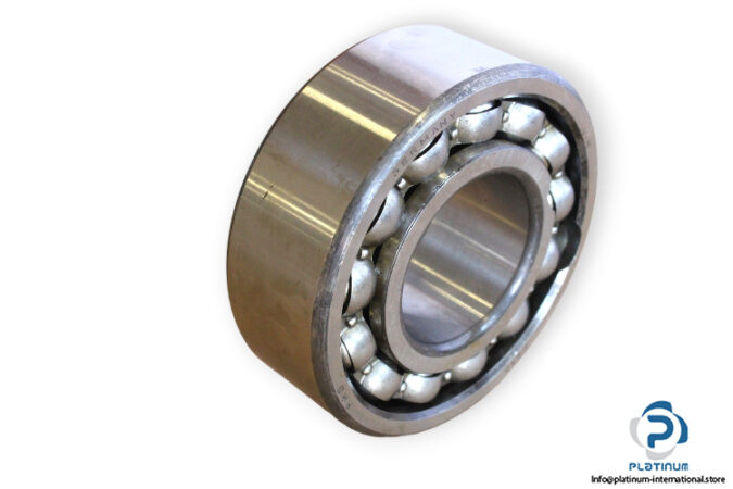 fag-4310-double-row-deep-groove-ball-bearing-wp