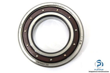 fag-6006-p63-deep-groove-ball-bearing-1