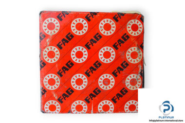 fag-6017-2Z-deep-groove-ball-bearing