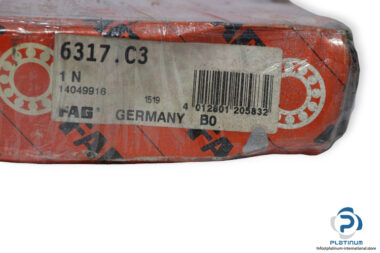 fag-6317.C3-deep-groove-ball-bearing-(new)-(carton)-1