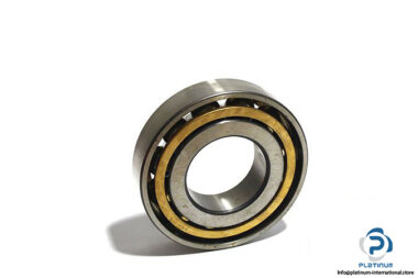 fag-7317b-angular-contact-ball-bearing-1