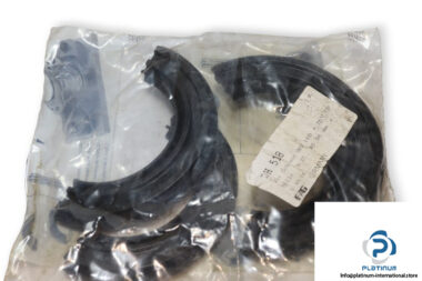 fag-DH-518-sealing-ring-(new)-(carton)-1