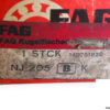 fag-NJ205-cylindrical-roller-bearing-(new)-(carton)-1