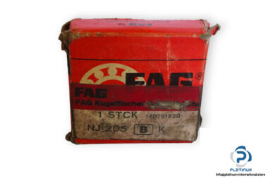 fag-NJ205-cylindrical-roller-bearing-(new)-(carton)