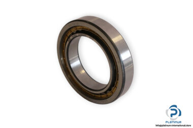 fag-NU1012-cylindrical-roller-bearing-(new)