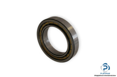 fag-NU1013-cylindrical-roller-bearing-(new)