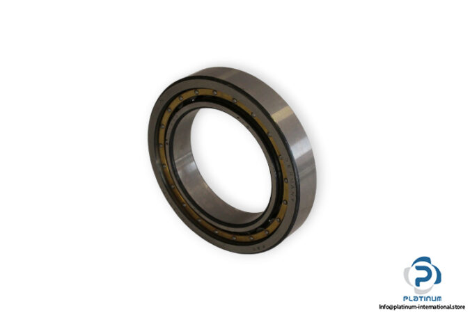 fag-NU1013-cylindrical-roller-bearing-(new)