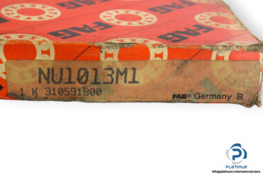 fag-NU1013M1-cylindrical-roller-bearing-(new)-(carton)-1