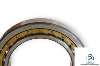 fag-NU1019-cylindrical-roller-bearing-(new)-1