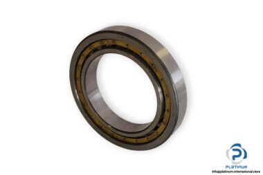 fag-NU1019-cylindrical-roller-bearing-(new)
