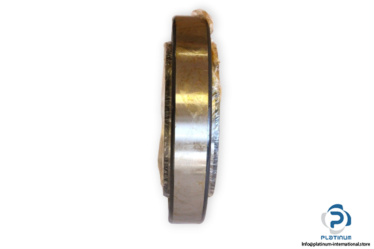fag-NU1019M1.P52-cylindrical-roller-bearing-with-extended-inner-ring-(new)-(carton)-1
