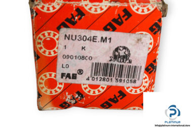 fag-NU304E.M1-cylindrical-roller-bearing-(new)-(carton)-1