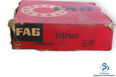 fag-NU307-cylindrical-roller-bearing-(new)-(carton)-1