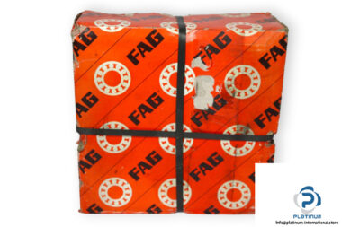 fag-NU319E.TVP2.C3-cylindrical-roller-bearing-(new)-(carton)