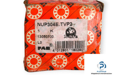 fag-NUP304E.TVP2-cylindrical-roller-bearing-(new)-(carton)-1