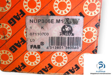 fag-NUP306E.M1-cylindrical-roller-bearing-(new)-(carton)-1