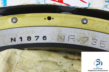 fag-n1876-tapered-roller-bearing-1