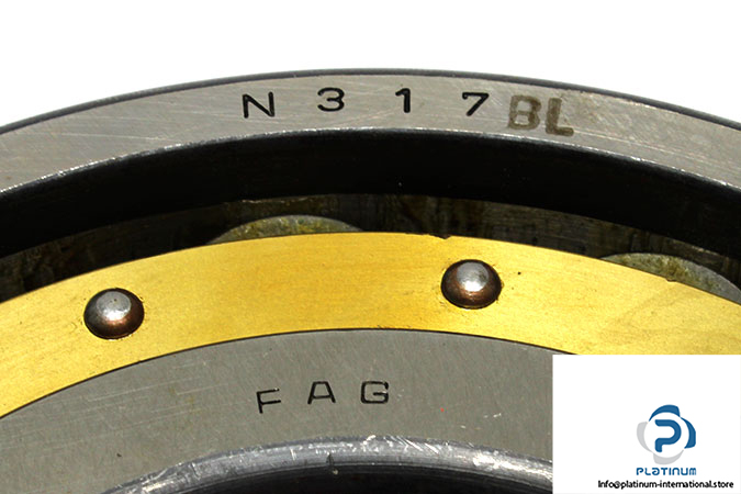 fag-n317-m-bl-cylindrical-roller-bearing-1
