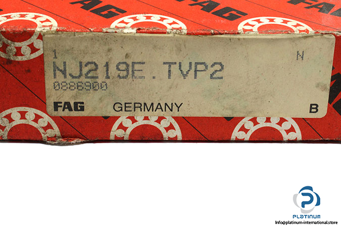 fag-nj219e-tvp2-cylindrical-roller-bearing-1