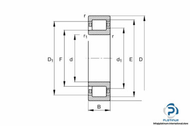 fag-nj2220e-m1a-c3-cylindrical-roller-bearing-2