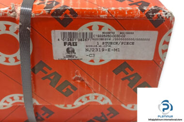 fag-nj2319-e-m1-c3-cylindrical-roller-bearing-1