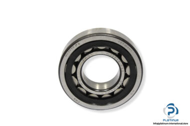 fag-nj309e-tvp2-p62-cylindrical-roller-bearing-1