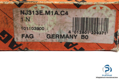 fag-nj313e-m1a-c4-cylindrical-roller-bearing-1