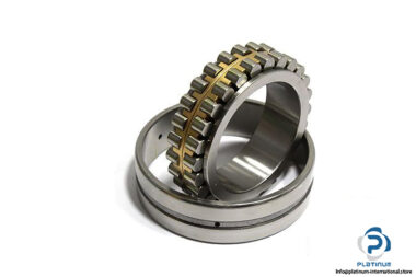 fag-nn3014ask-m-sp-double-row-cylindrical-roller-bearing-2