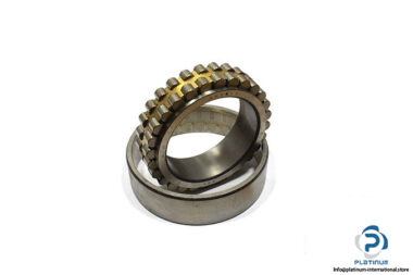 fag-nn3017m-sp-double-row-cylindrical-roller-bearing-1