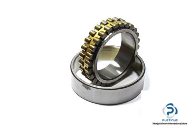 fag-nn3022km-sp-double-row-cylindrical-roller-bearing-1