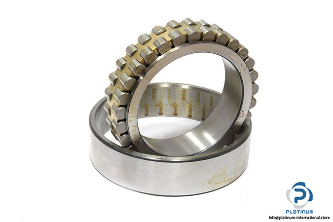 fag-nn3030k-double-row-cylindrical-roller-bearing-1