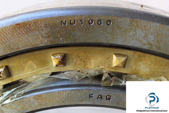 fag-nu1060-cylindrical-roller-bearing-1