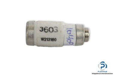 ferraz-shawmut-W213160-fuse-link-(New)-1